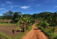 THE IMPACT OF CoVID-19 ON VILLAGE RATWATTA