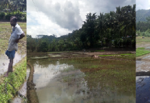 WHAT WILL HAPPEN AFTER THE COVID-19 PANDEMIC?