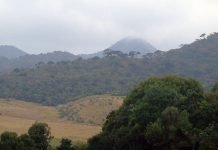 කන්ද උඩරට රාජධානියෙහි පරිපාලනය