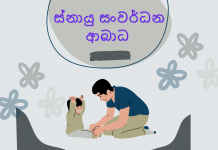 ස්නායු සංවර්ධන ආබාධ – NEURODEVELOPMENTAL DISORDERS (NDS)