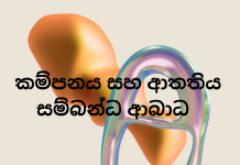 කම්පනය සහ ආතතිය ආශ්රිත ආබාධ – Trauma – and Stressor-Related Disorders