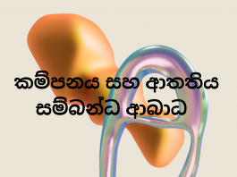 කම්පනය සහ ආතතිය ආශ්රිත ආබාධ – Trauma – and Stressor-Related Disorders