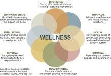 UNLOCK YOUR FULL POTENTIAL: A PRACTICAL GUIDE TO THE EIGHT DIMENSIONS OF WELL-BEING – ඔබගේ සම්පූර්ණ විභවය අගුළු හැරීම සඳහා යහපැවැත්මයේ මානයන් අට සාක්ෂාත් කර ගැනීමට ප්රායෝගික මාර්ගෝපදේශයක්