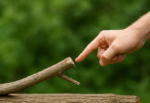 පටිච්චසමුප්පාදය නම් කවරේද