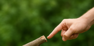 පටිච්චසමුප්පාදය නම් කවරේද